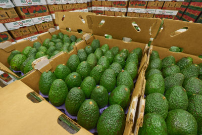 Three full trays of avocados and produce boxes in the background