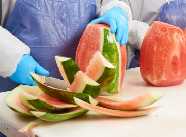Close up of woman's hands slicing the rind from a fresh watermelon