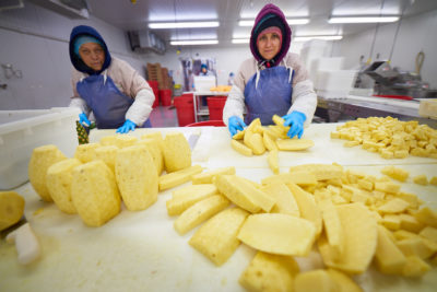 Two ReadyFresh workers slicing bright yellow pineapple into pieces