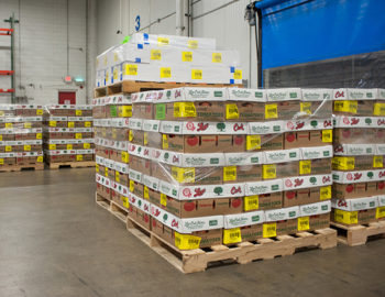Multiple pallets with produce boxes stacked on top
