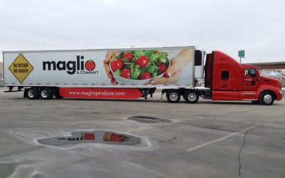 The Wholesaler/Distributor Model Revisited