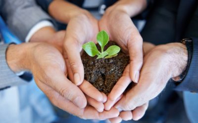 Hands holding a pile of soil upon which a plant has sprouted