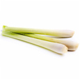 Three stalks of fresh lemongrass