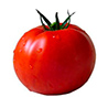 One large bright red tomato