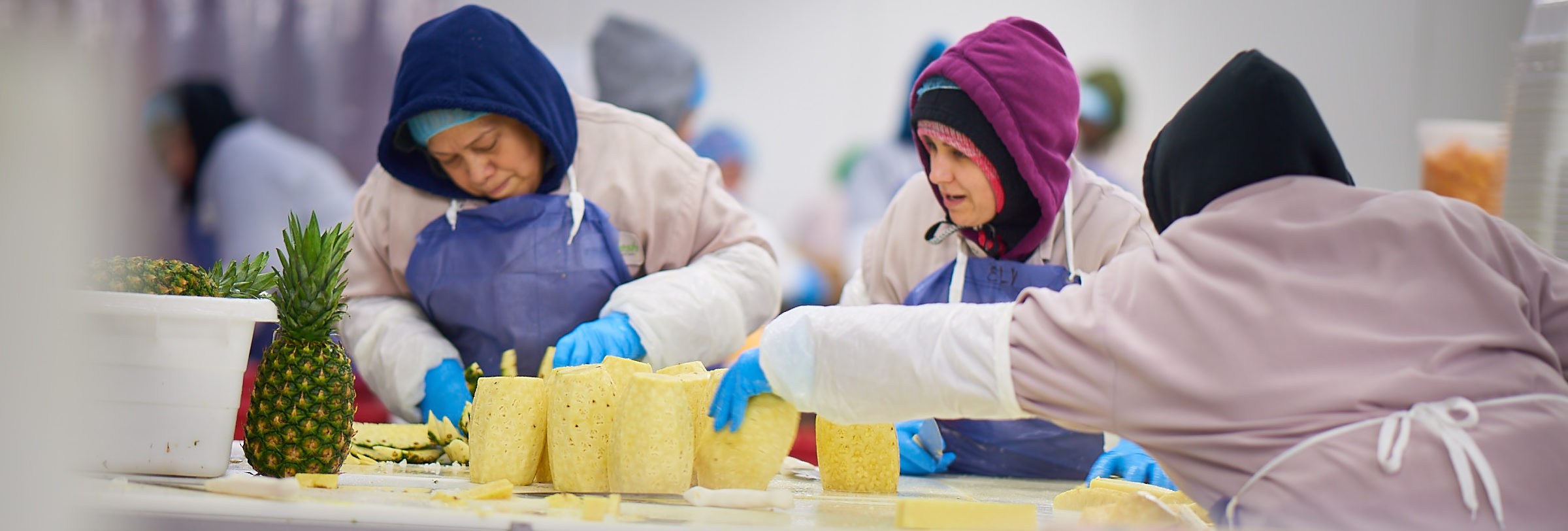 Careers About Growing Produce Strategies Maglio Companies