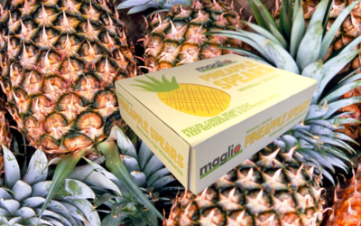Pineapple Spears
