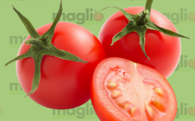 Health Benefits of Tomatoes