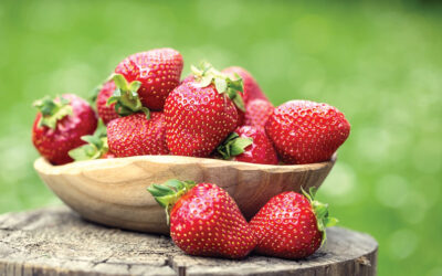 Strawberries linked to improved cognitive function