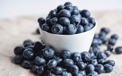 10 Health Benefits of Blueberries