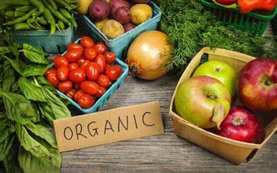 Organic foods: Are they safer? More nutritious?