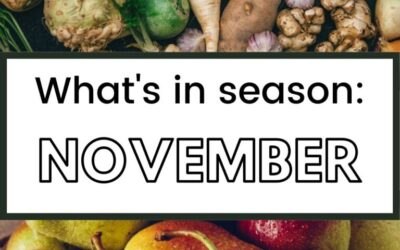 November Produce Guide